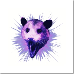 Purple Possum Screaming Posters and Art